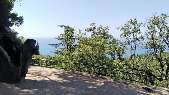 Крым.Никита.Сюжет из ботанического сада.