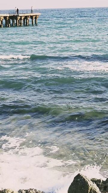 Весна в Крыму.13.03.2026