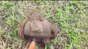 ЗАЧЁТНЫЕ НАХОДКИ СДЕЛАЛИ КОП!!! МЕТАЛЛОКОП С ТХ-850! Видео из архива!!!