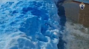 Семья испачкала краской памятник Жукову во время гендер-пати в Калужской области