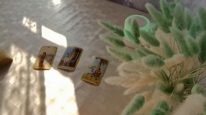 Какая вы женщина глазами ЗМ❓