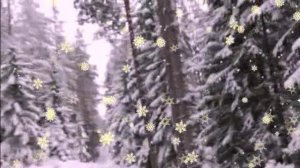 Россия Ленинградская область Выборгский район Бобочино поселок Поляны горка Церковная лета2025/2026