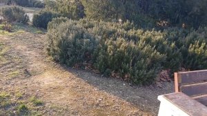 Чернобаева Людмила Павловна гуляет в парке, ну и заглянула на море 13.03.2026г