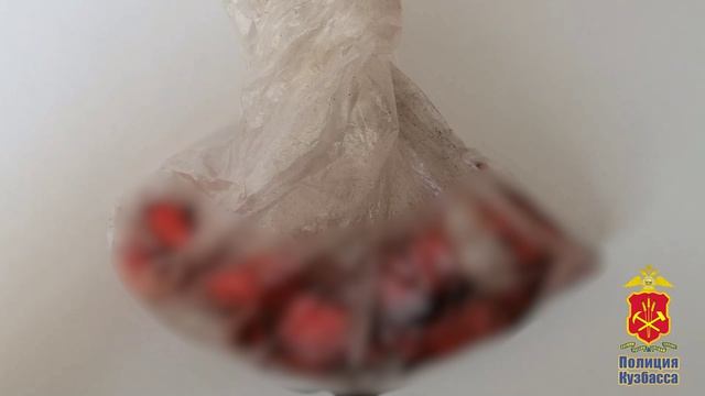 Вынесен приговор наркосбытчицам с тапками смотреть онлайн
