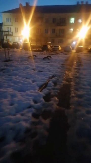 УТРЕННИЙ КИРОВСК ЛЕН. ОБЛАСТЬ 13 03 2026 - АЛИСА УШЛА В ЗА ЗЕРКАЛЬНЫЙ МИР