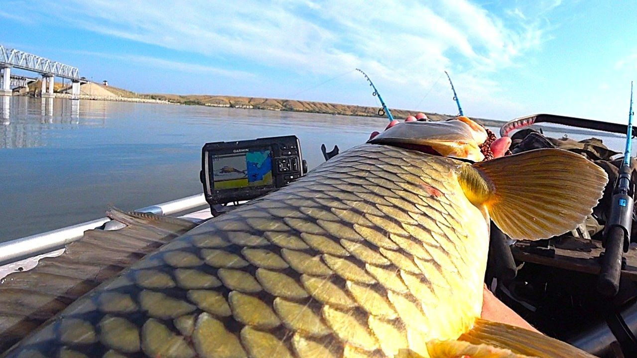 Рыбачим на Лодке. Лучшая Русская Рыбалка 2026. Весна . Интересные Моменты и Поклёвки. Рыбалка Онлайн