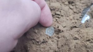 Офигеть.  Наткнулся на богатое место в лесу