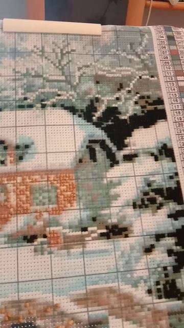 video_20260217_170058.mp4