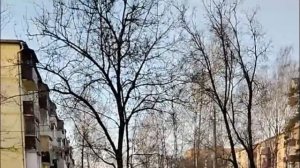 ПОМОГАТЬ ИЛИ НЕТ Ответы на комментарии