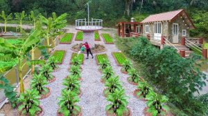 Сажаю овощи и цветы вокруг своего маленького дома. Сария 51. Ли Фук Ви