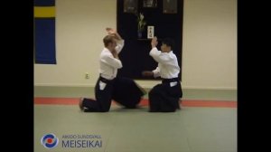 39.Aikido Shomen Uchi Ikkyo Omote Suwariwaza & Tachiwaza Shishiy