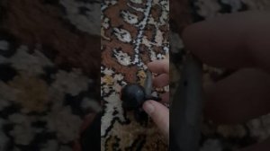 ВЫЖИВАНИЕ. 2 серия. клоун трики