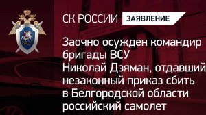 Заочно осужден командир бригады ВСУ, отдавший незаконный приказ сбить российский самолет