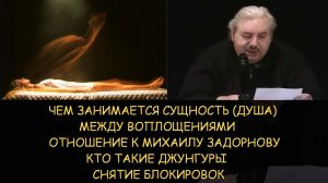 ✅ Н.Левашов: Что делает сущность /душа между воплощениями. Отношение к Задорнову. Кто такие джунгары