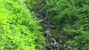 Звуки природы — журчание горных ручьёв и рек | звук воды для релакса и сна (4K)