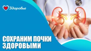 Здоровье. Болезни почек