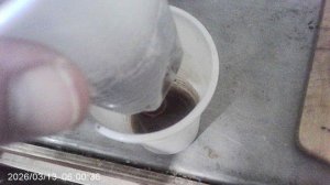 Обзор февральского кабачка "Чёрный Красавец" в стадии рассады