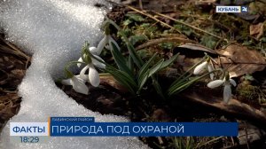 На Кубани более 30 особо охраняемых природных территорий создадут до 2028 года