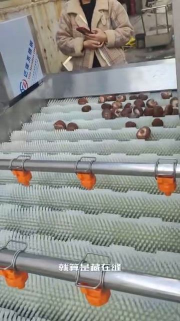 Линия мойки грибов до 200 кг/ч | Сытнвый Дом