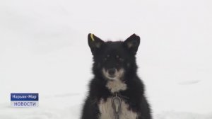 В РАМКАХ ЗАКОНА