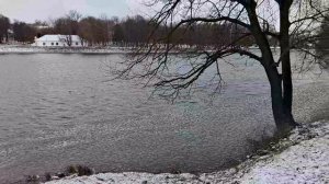 Красота в глазах смотрящего январь 2026