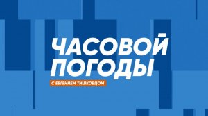 Часовой погоды | 13 марта 2026 года