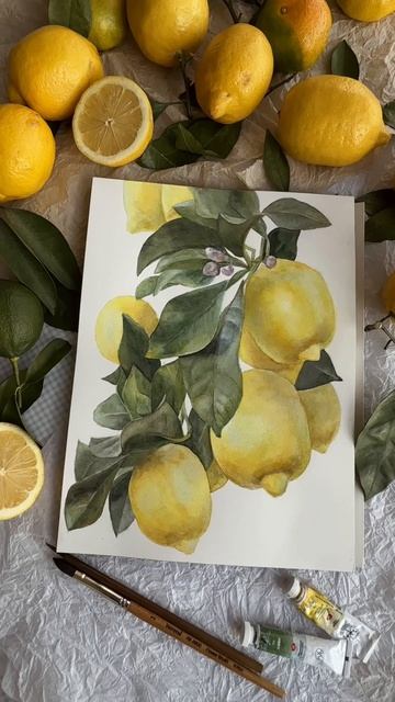 Лимоны 🍋🫰🏻
