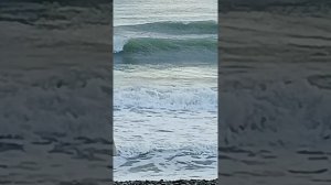 Море / шум моря