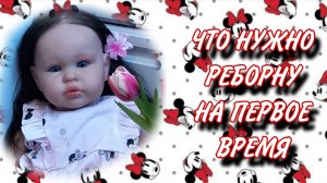 Что нужно реборну на первое время 🤍