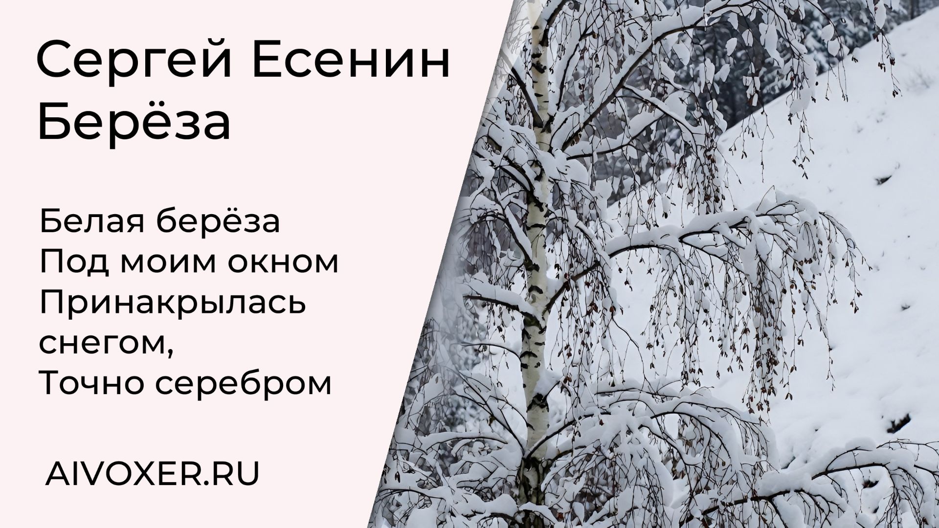Сергей Есенин — Берёза (Песня на стихи Есенина / AIVOXER) #музыка #русскаяпоэзия