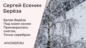 Сергей Есенин — Берёза (Песня на стихи Есенина / AIVOXER) #музыка #русскаяпоэзия