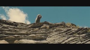 БЕЛЛЬ И СЕБАСТЬЯН 1-2