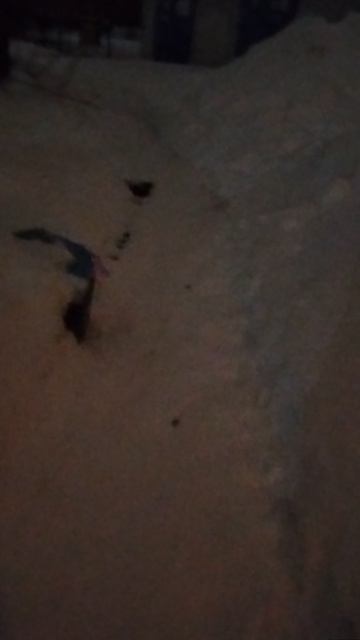 №1677 Двор П. Осипенко 48. 12 марта 2026 г., 20:55:24 VID_20260312_205431404