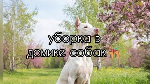 уборка в домике собак + рум тур 🍥🐾