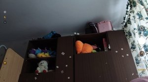 Алиса заметь меня