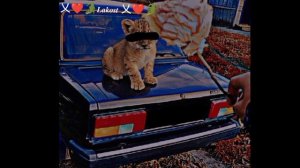 новая цыганская песня Коля хорошо