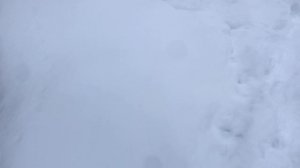 Влог 13 марта 🌧️💦