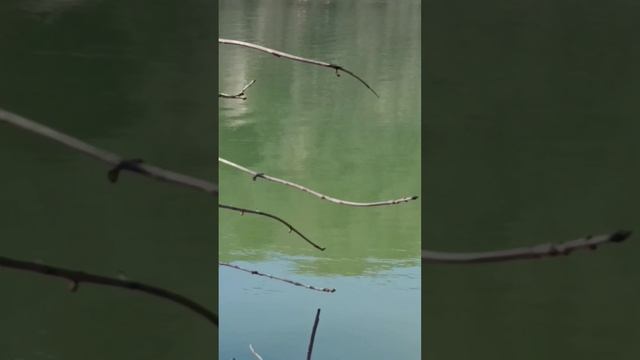 Кипарисовое озеро Сукко 13 Марта 2026 года