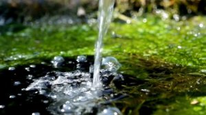 🔅13 марта Доброе утро! Доброе утро! Красивая песня весны для утреннего настроения. С Добрым утром!