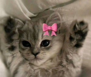 болтаем и играем в игру вопрос ответ