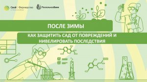 После зимы: как защитить сад от повреждений и нивелировать последствия