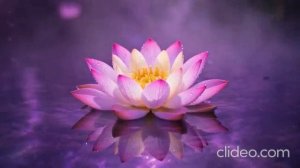 Стань САМОЙ ЖЕЛАННОЙ и НЕОТРАЗИМОЙ АСМР Медитация для Женщин на Притяжение Любви [get.gt]