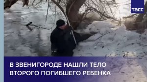 В Звенигороде нашли тело второго погибшего ребенка