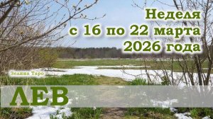 ЛЕВ | ТАРО прогноз на неделю с 16 по 22 марта 2026 года