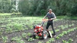 Окучивание дисковым окучивателем, мотоблок PATRIOT MONTANA