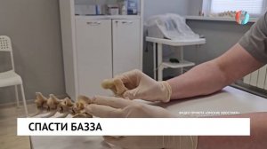 Спасти Базза