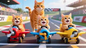 Кошка-мама подстригла шерсть на ферме и сшила тигриную шапочку для котят у себя дома.