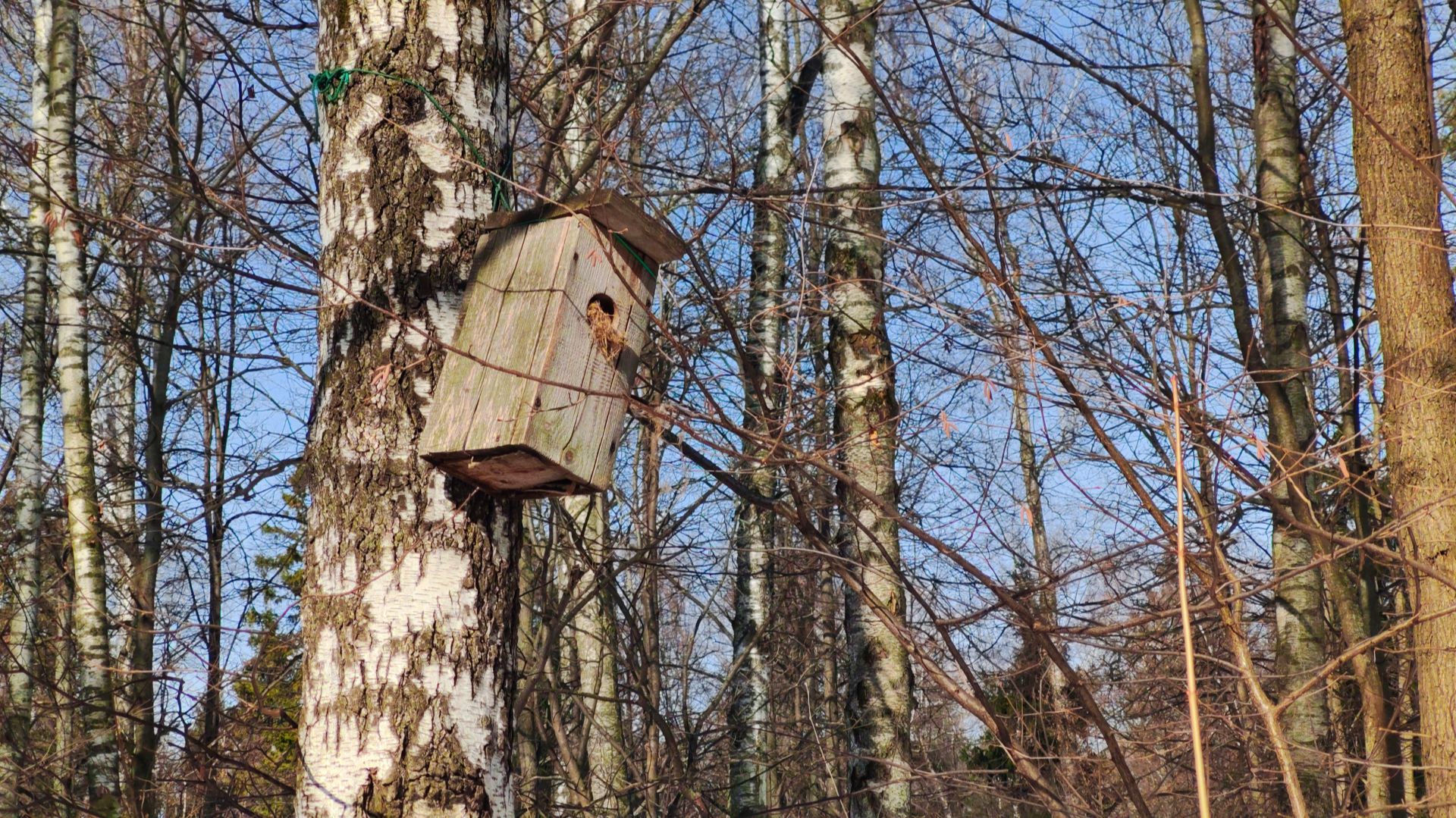НЕ ХОЧУ ВЯЗАТЬ, ХОЧУ ГУЛЯТЬ!