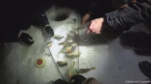 Видит ли рыба в темноте_ Рыбалка на хапуги ночью.