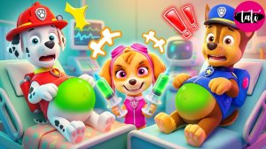 Щенячий патруль и Маршалл. Залипательное видео. Мультфильм для детей и малышей. Анимация 369